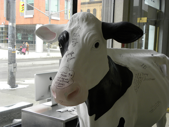 A cow statue that sits in the front window of the CML. This cow is part of the Dairy Diary project, which follows posts Twitter updates about cows’ lactation cycles and robotic milking activities.